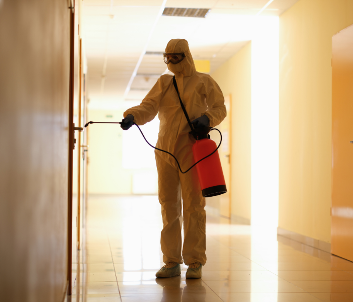 servicio de desinfección y sanitización profesional en chile